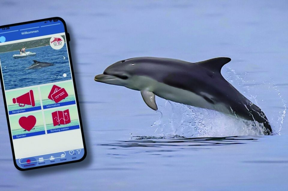 Sichten statt stören – Zum Schutz der Adria-Delfine